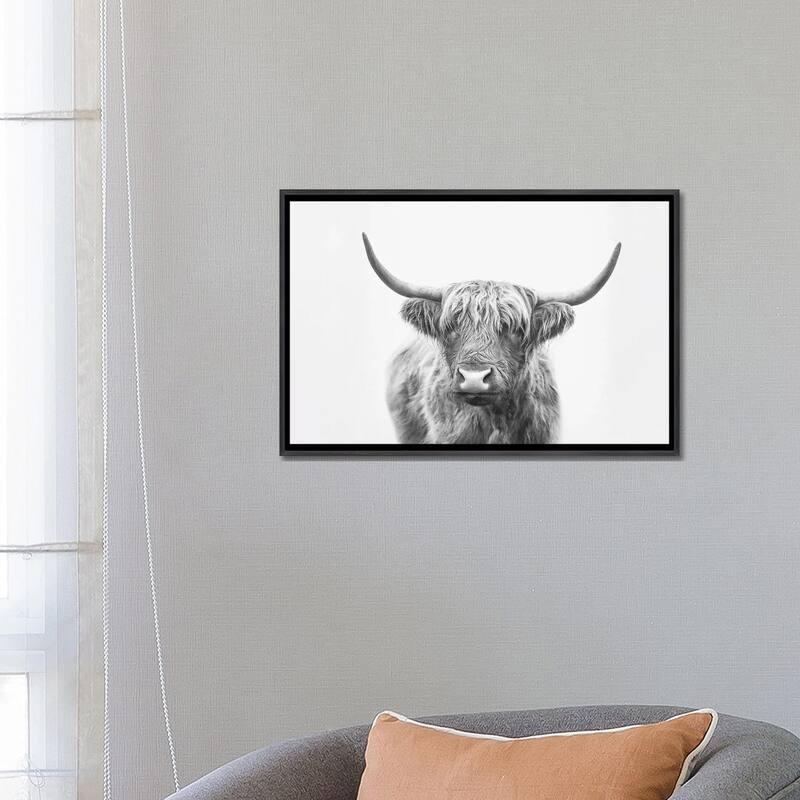 iCanvas "Highland Bull" by Sisi & Seb Framed