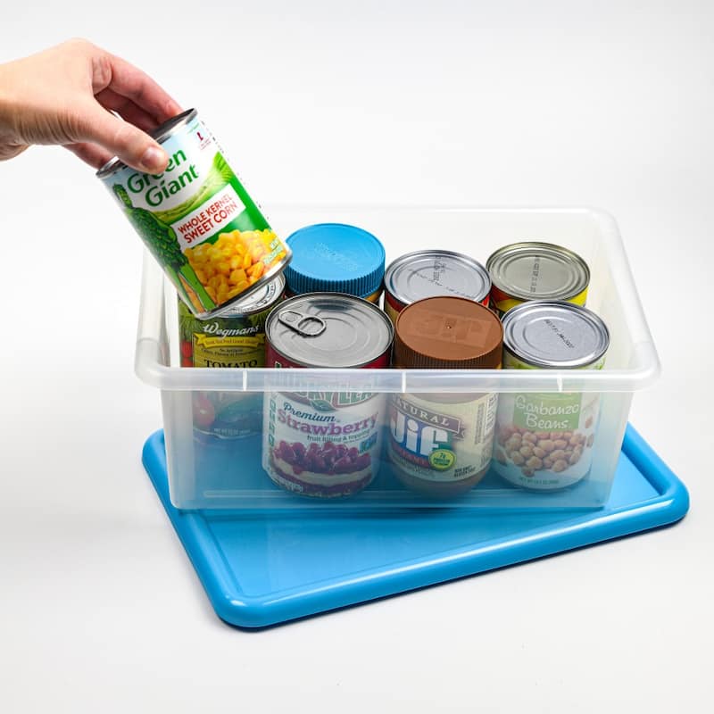 Plastic Container with Colored Lid, 5 Qt Plastic Storage Bins