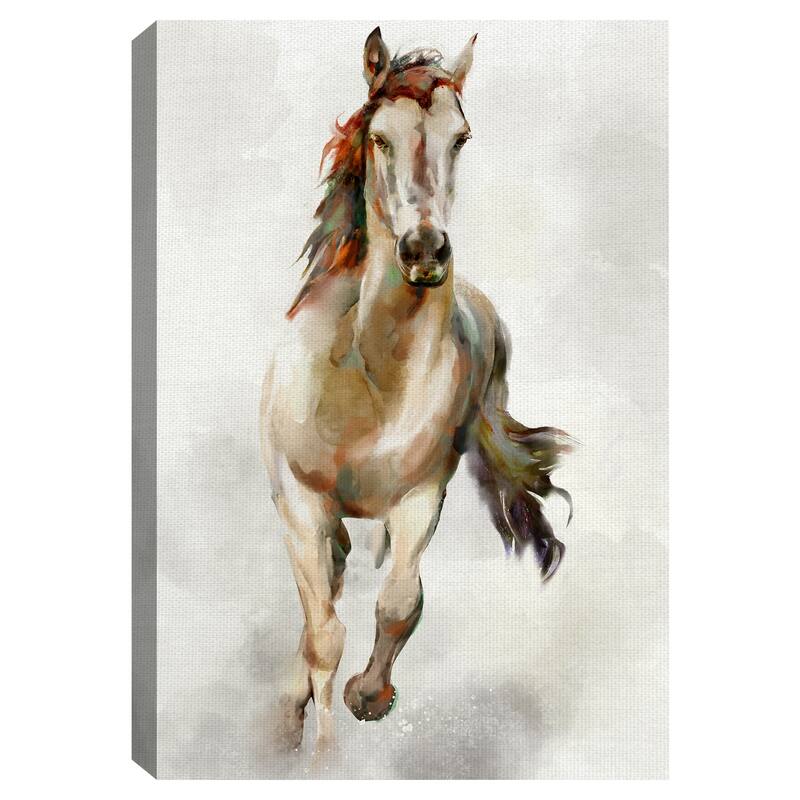 Spirit by Studio Arts Canvas Art Print