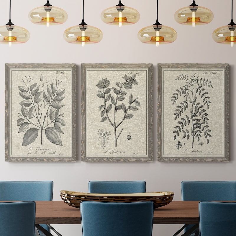 Antique Black & White Botanical VII-Premium Framed Canvas - Ready to Hang - Multi-Color