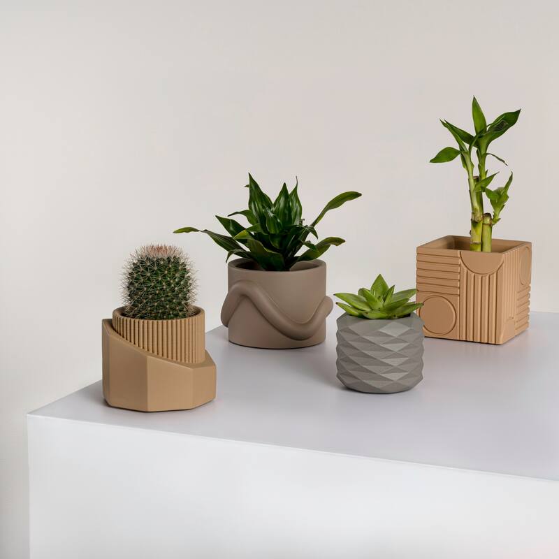JONATHAN Y Romy Modern Minimalist Handmade Concrete Geometric Planter Set with Drainage Holes (Set of 4)