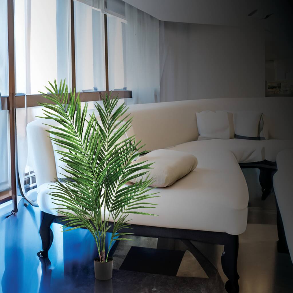 Potted Areca Palm With 4'