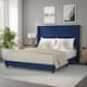 Option Navy Velvet