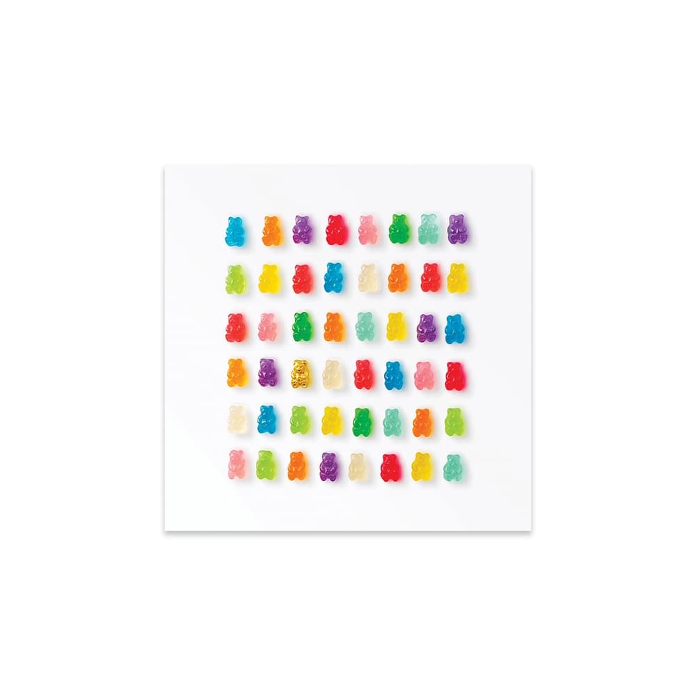 Rainbow Bears Print On Acrylic Glass by Erin Summer