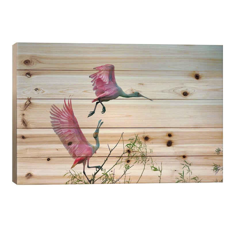 Rosy Pair (Roseate Spoonbills) Print On Wood by C. Mei - Multi-Color - 18x26x1.5