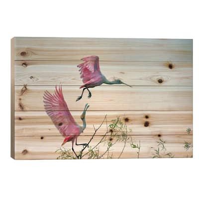 Rosy Pair (Roseate Spoonbills) Print On Wood by C. Mei - Multi-Color