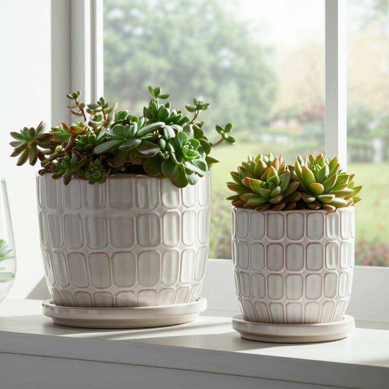Stoneware Saucer Planters with Embossed Geometric Texture (Set of 2)