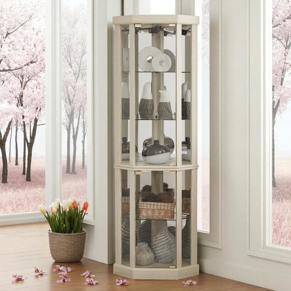 Corner Lighted Glass Curio Cabinet with Doors, Shelves and Mirrored Back for Display and Storage