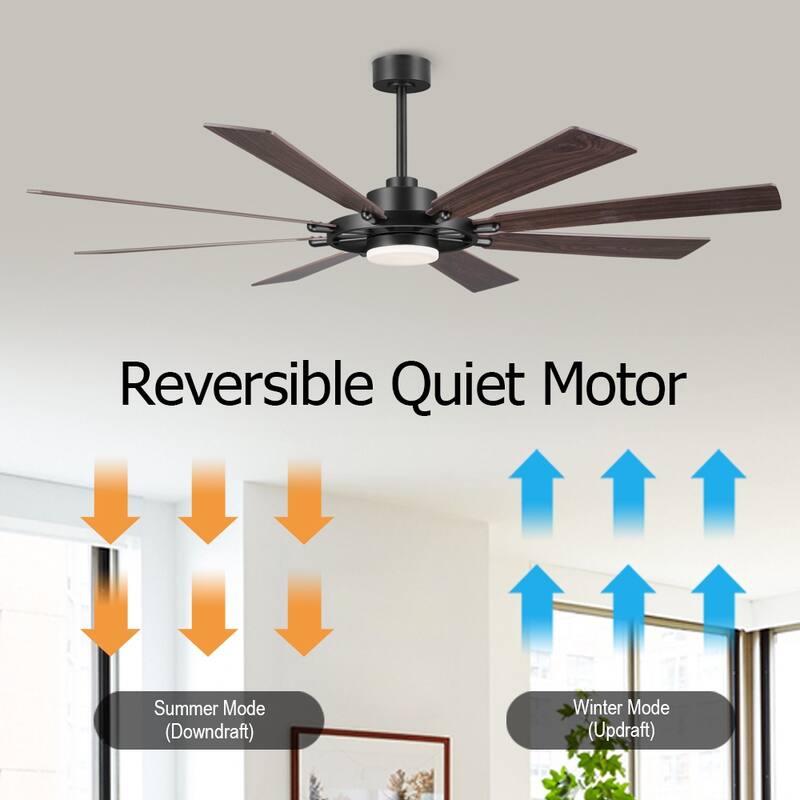 WINGBO 60-inch/72-inch 8-Blades Indoor DC Motor Ceiling Fan With LED Light and Remote Control