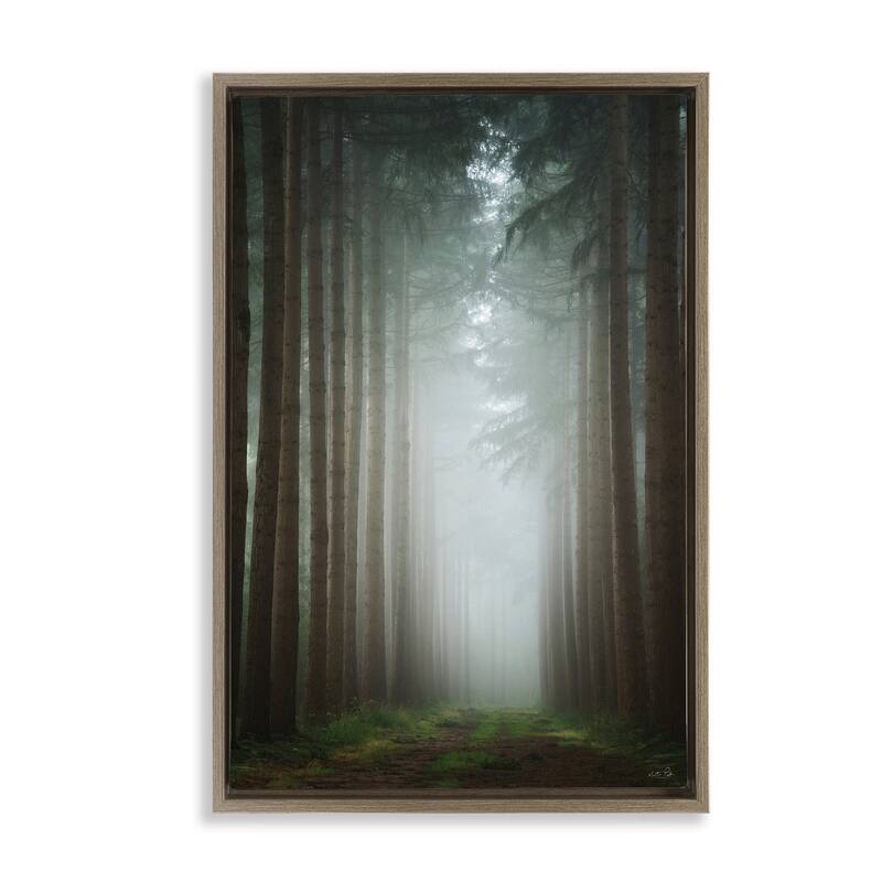 Stupell Moonlight Through Dark Forest Framed Floater Canvas Wall Art Design By Martin Podt - 17 x 25 - Brown