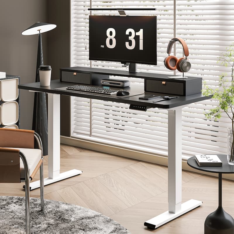 FlexiSpot 48"x24"/55"x24" Ergonomic Height Adjustable Standing Desk with 2 Drawers, Monitor Stand Computer Desk