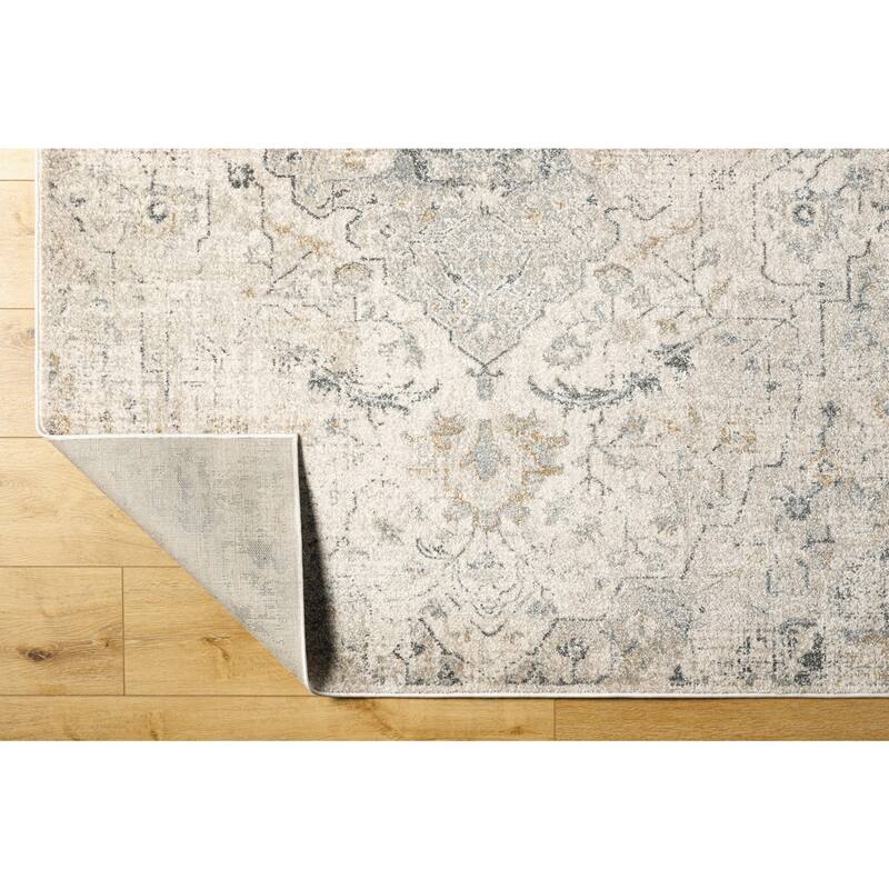Blum Traditional Area Rug