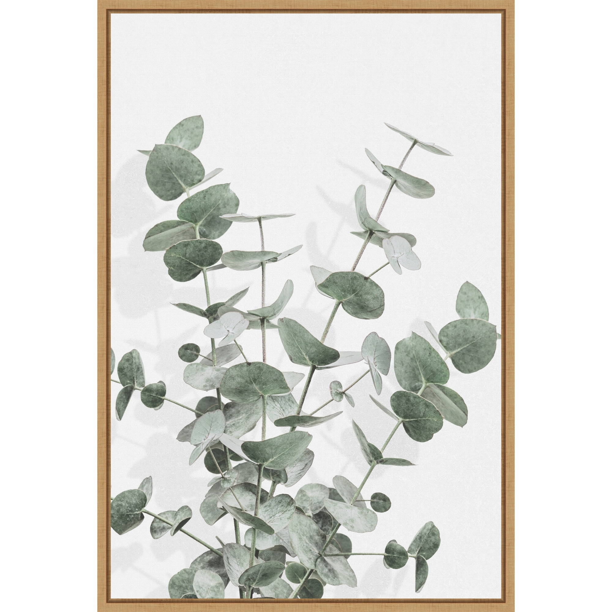 Eucalyptus Creative 16 by Pictufy Studio III Framed Canvas Wall Art - Sylvie Maple