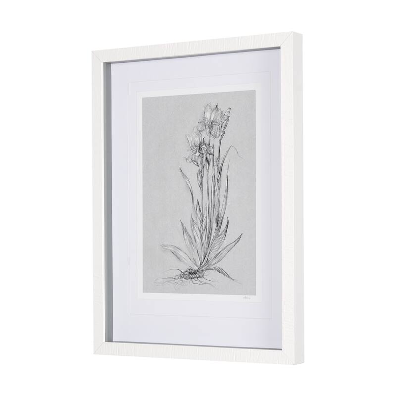Botanical Sketches IV (Grey) Framed Art Print