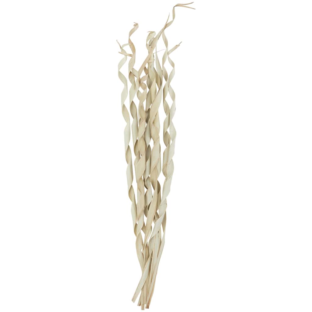 Palm Leaf Tall Rolled Sticks Home Decor Natural Foliage - Cream - Roche River Decor