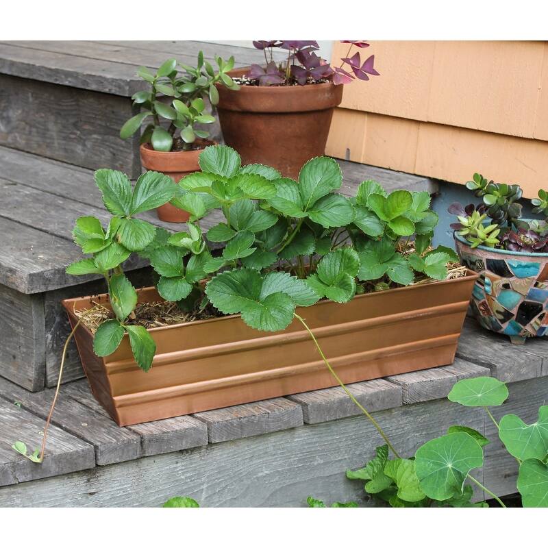 Achla Designs Small Galvanized Steel Flower Box Planter, 22 Inch Wide
