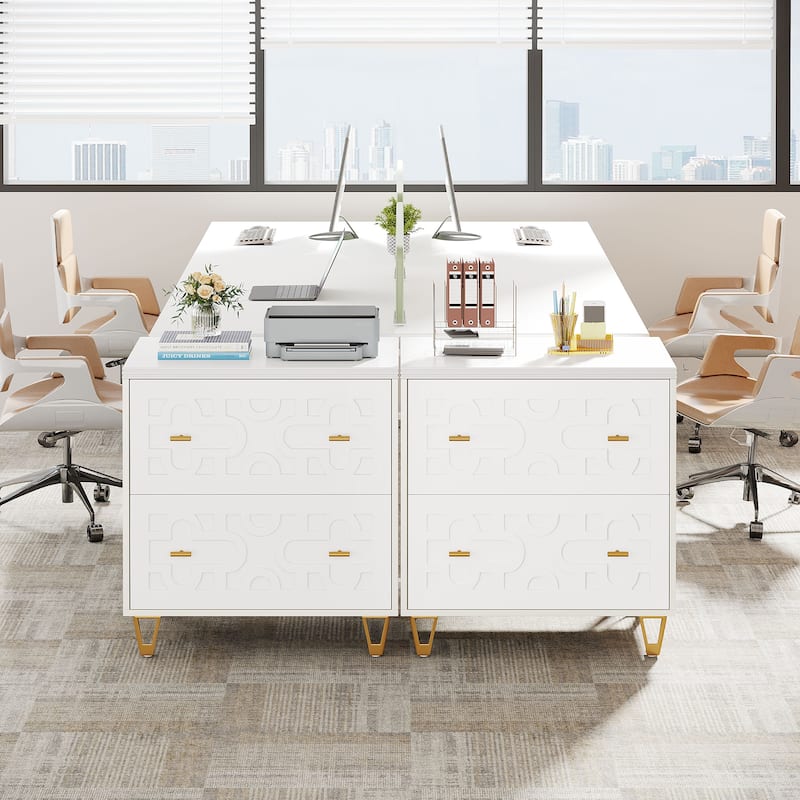 Modern White 2-Drawer File Cabinet, Office Lateral Filing Cabinet for Legal/Letter/A4 Size