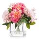 Option Pink