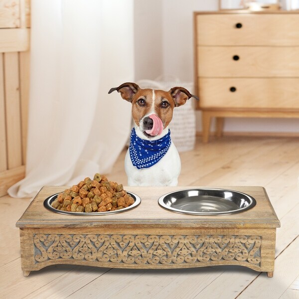 Double pet feeder 2025