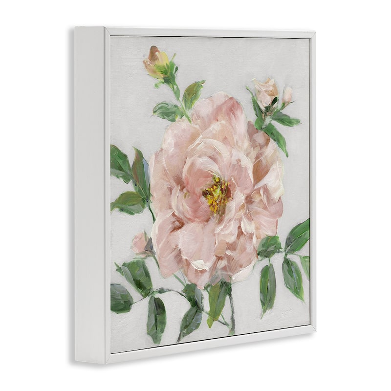 Stupell Pink Carnation Blossom Framed Giclee Art Design By Sally Swatland