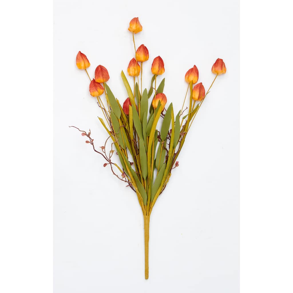 21" Chinese Lantern Bush, Set of 3