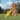 Swing-N-Slide Jamboree Fort Wood Outdoor Swing Set - 13' W x 13' L x 9' 6" H