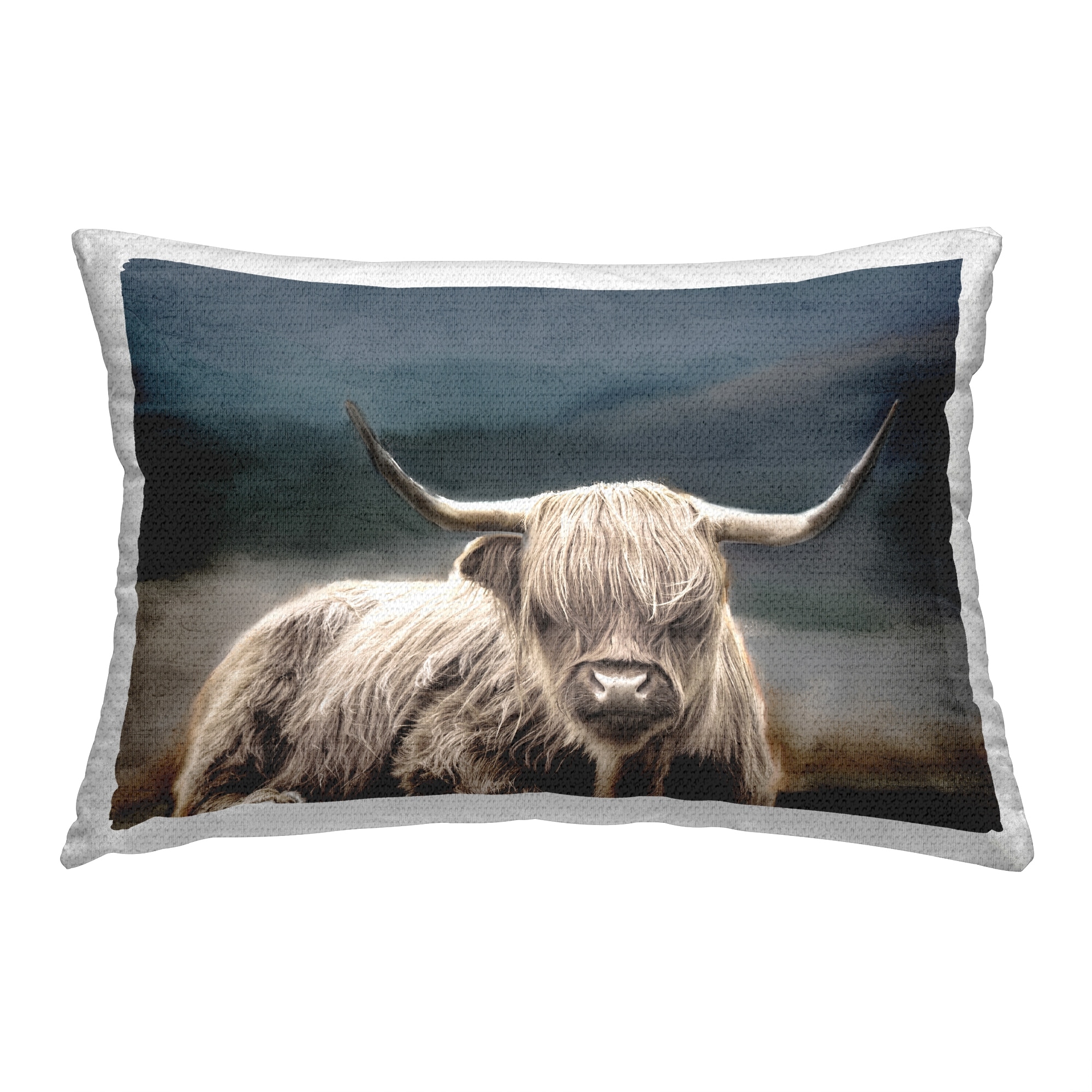 Stupell Highland Cow Portrait Printed Outdoor Throw Pillow Design by Kim Allen