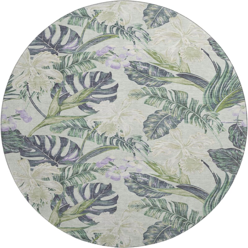 Premium Washable Super Soft Tropical Paradise Mayfield Rug
