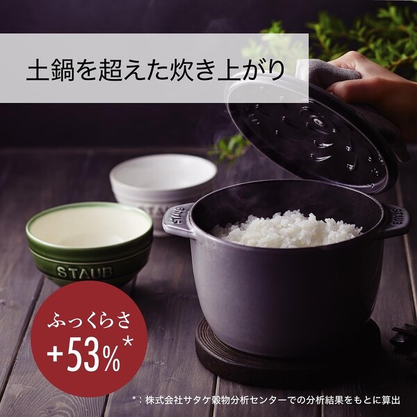 6.3 inches (16 cm) Rice Pot, 2 Cups, Cast Enameled Pot, Induction