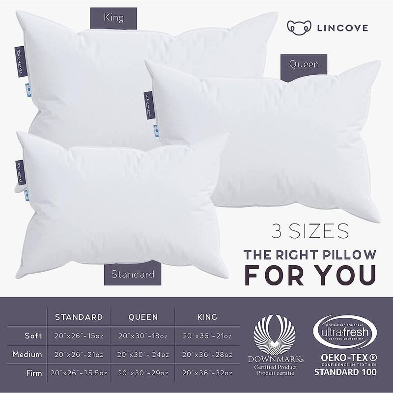 Lincove European Down Venus Pillow - 600 Fill Power - Count Shell