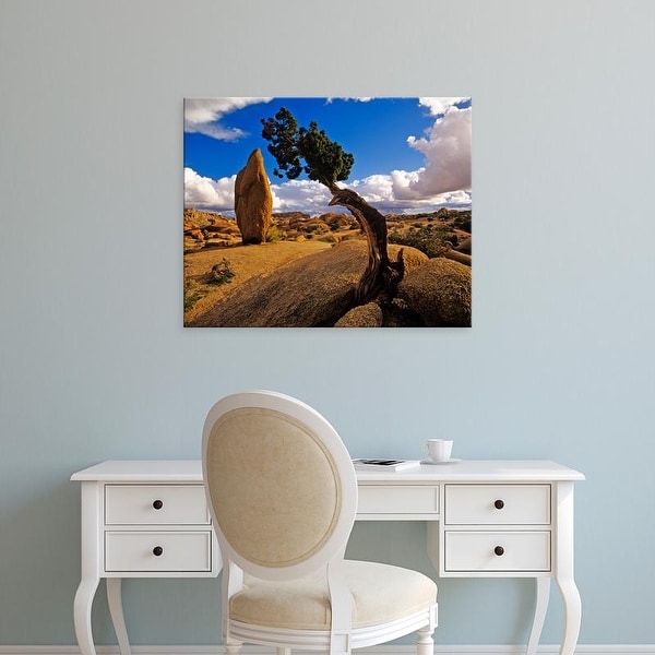 Easy Art Prints Chuck Haney's 'Balanced Rock & Juniper' Premium Canvas Art
