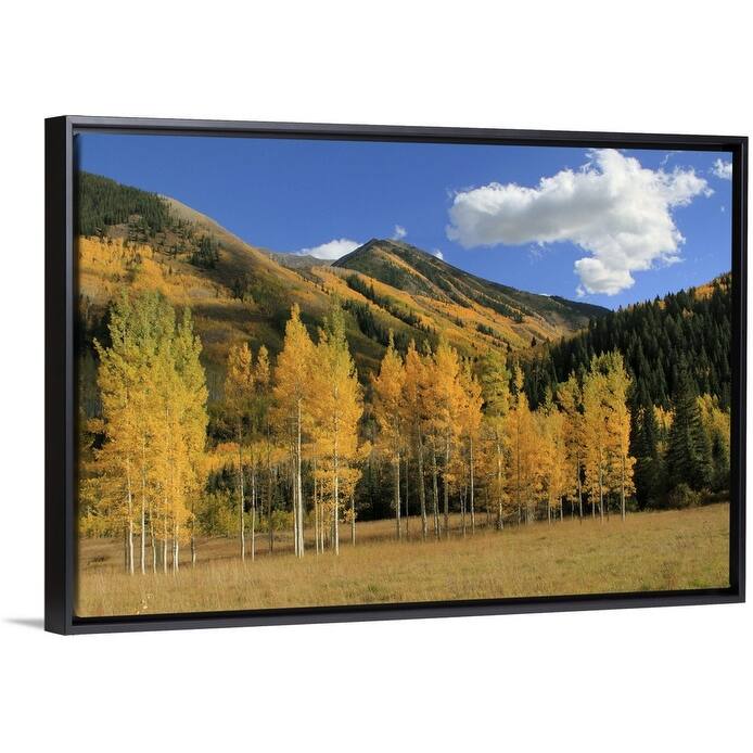 "Autumn aspen trees in the Maroon Bells valley, Elk Mountains, Colorado, USA" Black Float Frame Canvas Art