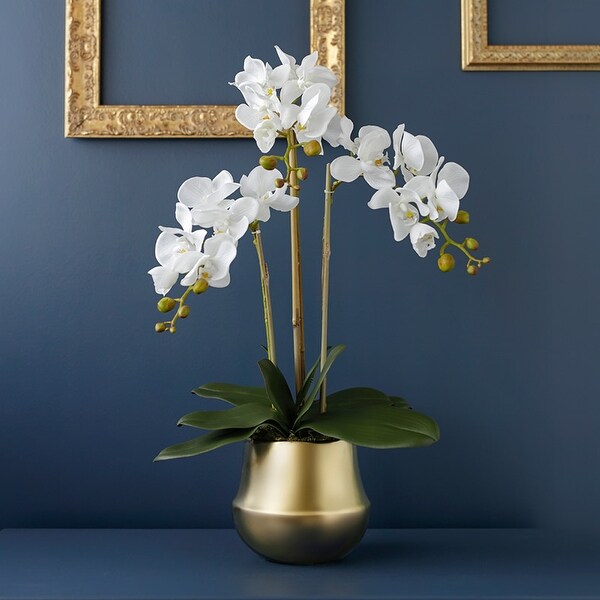 Shop Floralgoods Real Touch Orchid Arrangement In Gold Metal Vase