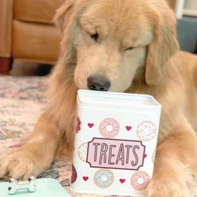 Amici Pet Barkers Dozen Metal Treats Canister - 96 oz.