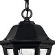 preview thumbnail 3 of 2, Hinkley Lighting 1 Light Outdoor Lantern Pendant from the Manor House