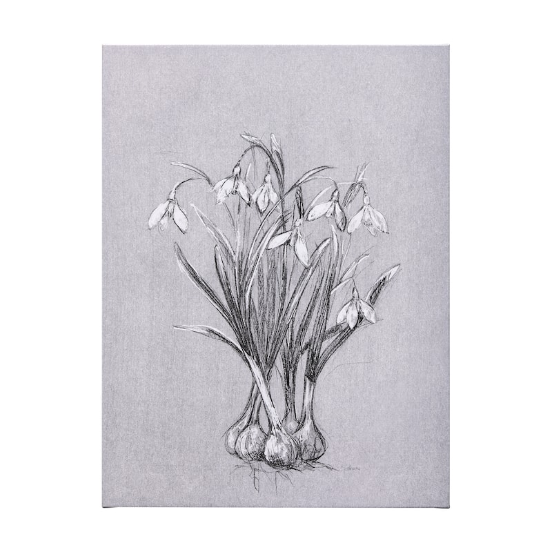 Botanical Sketches VI (Grey) (36 x 60) Canvas Art Print - Large