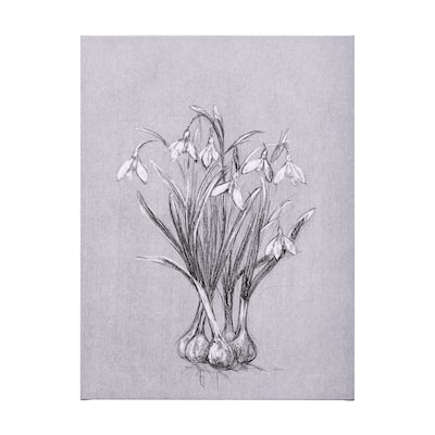 Botanical Sketches VI (Grey) (36 x 60) Canvas Art Print
