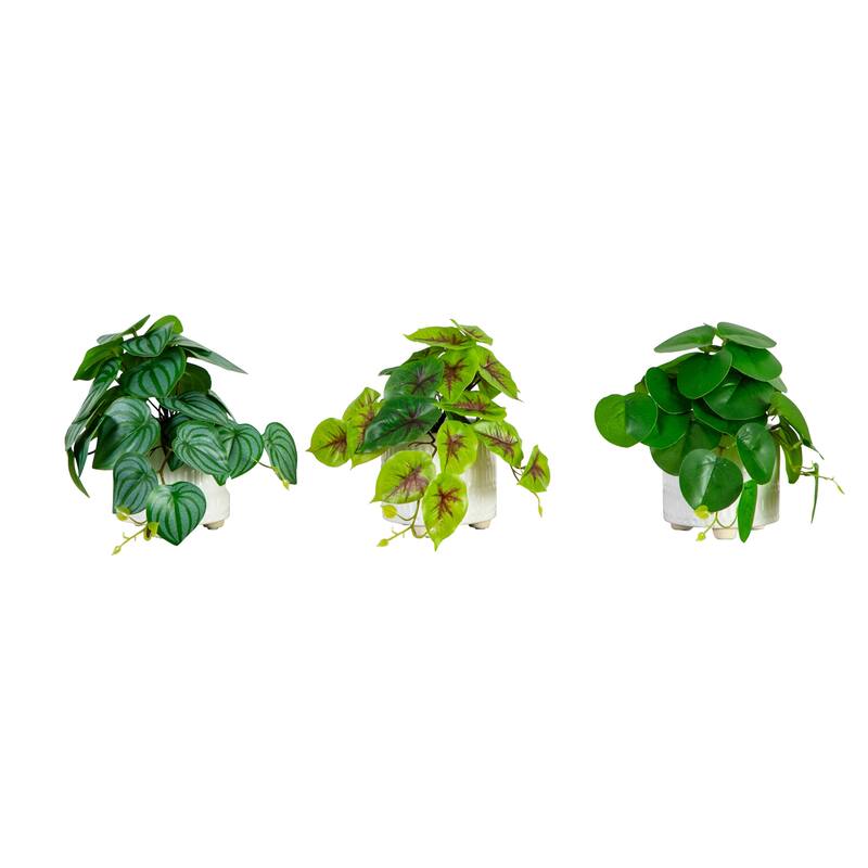 Mixed Artificial Plants with Ceramic Planter - 8' - Green - Set of 3