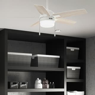 Hunter Anisten Ceiling Fan with LED Light Kit and Pull Chain - Casual Modern Contemporary - ENERGY STAR