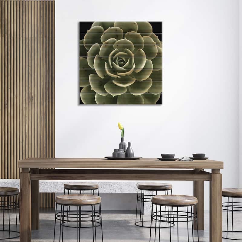Green Succulent IV Print On Wood by Mia Jensen - Multi-Color