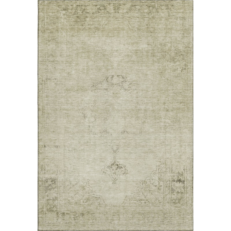 Premium Washable Super Soft Vintage Distressed Mayfield Rug