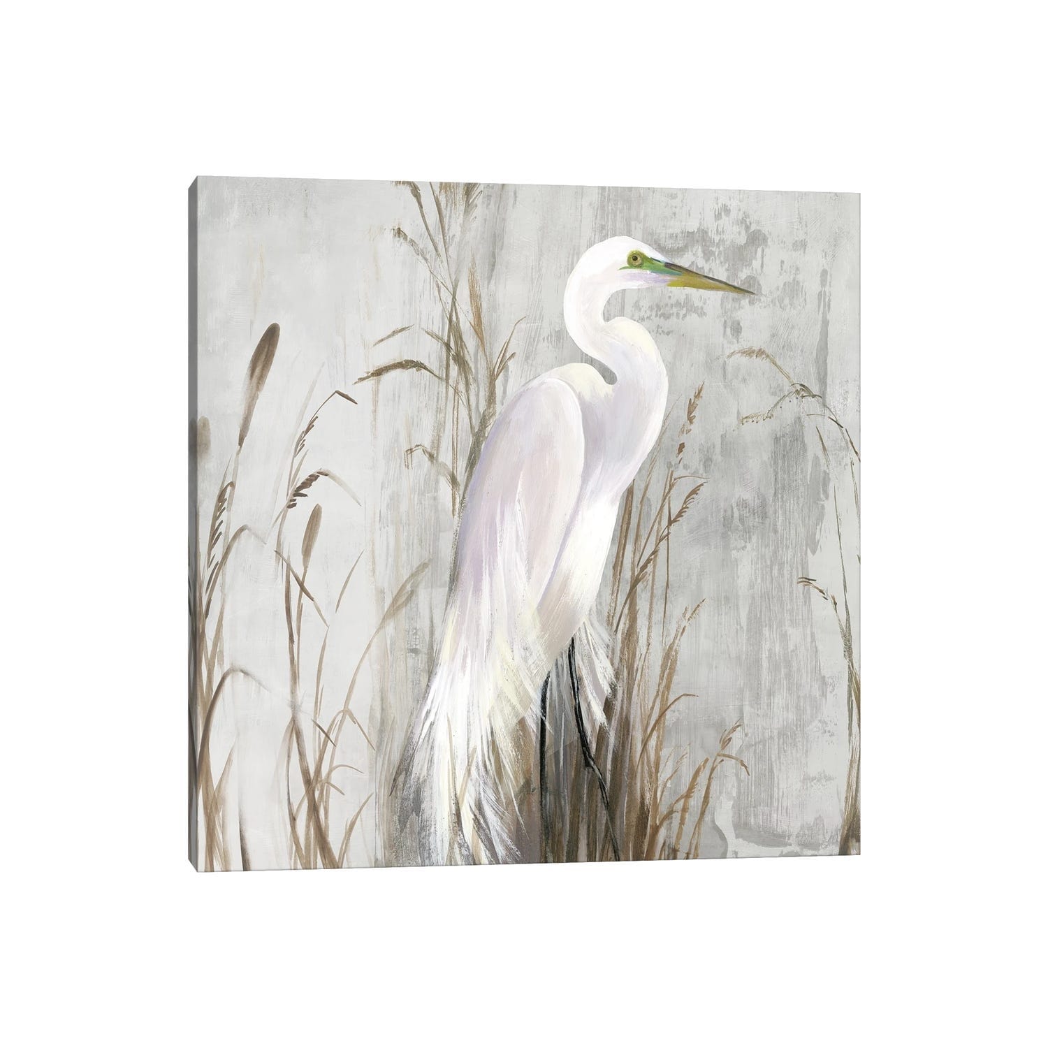 iCanvas "Heron in the Reeds" by Aimee Wilson Canvas Print