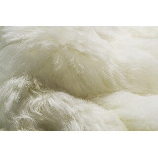 2' X 3' White Animal Print Area Rug - 3'6