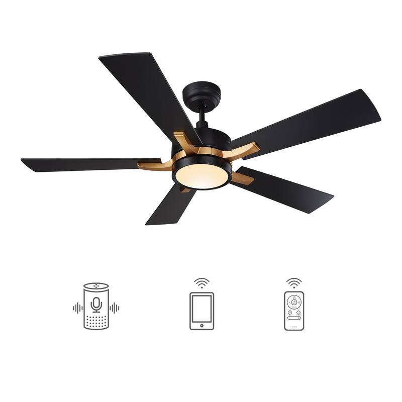 CARRO Elliott 52" Smart Ceiling Fan with Light and Remote-Downrod
