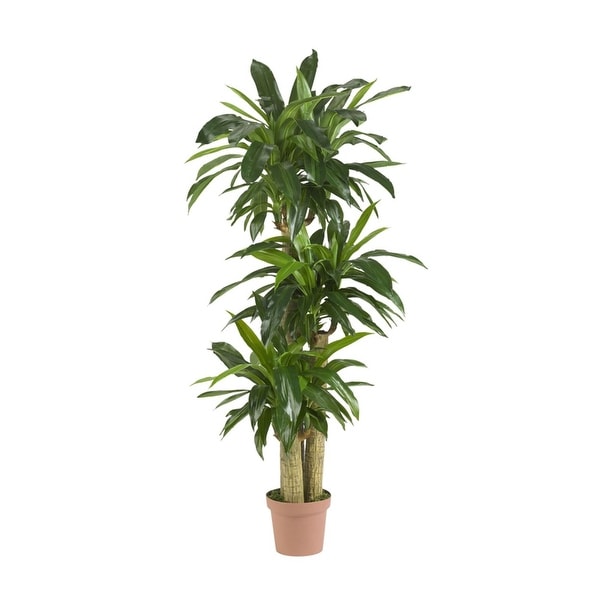 Nearly Natural Corn Stalk Dranaena Silk Plant - Real Touch Green