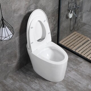 Elongated One -piece Toilet Water-saving Multifunctional Toilet With 