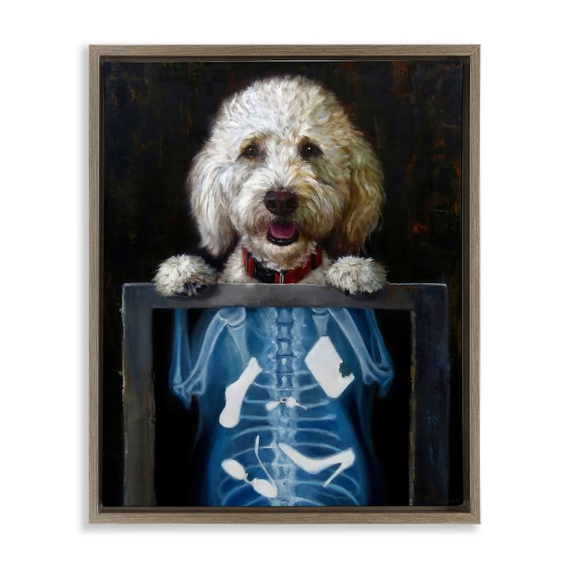 Stupell Funny Dog X-Ray Snacks Framed Floater Canvas Wall Art by Lucia Heffernan - 17 x 21 - Brown