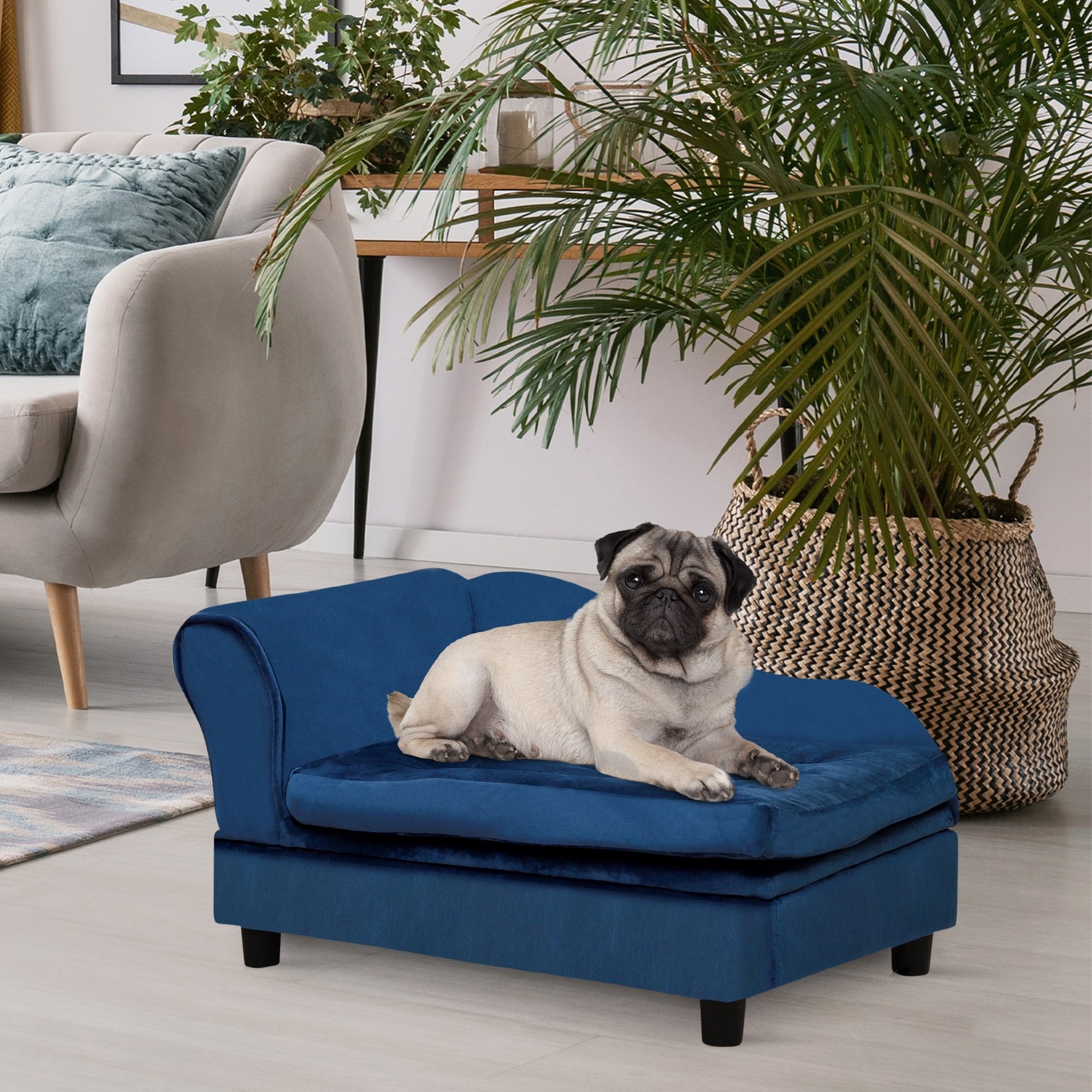 Mini dog couch shop