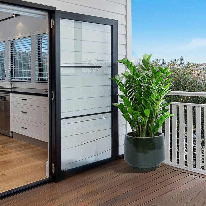 Ceramic Planter Pot for arranging Monstera Fiddle-Leaf Fig, Drainage