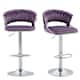 Option Purple-Silver